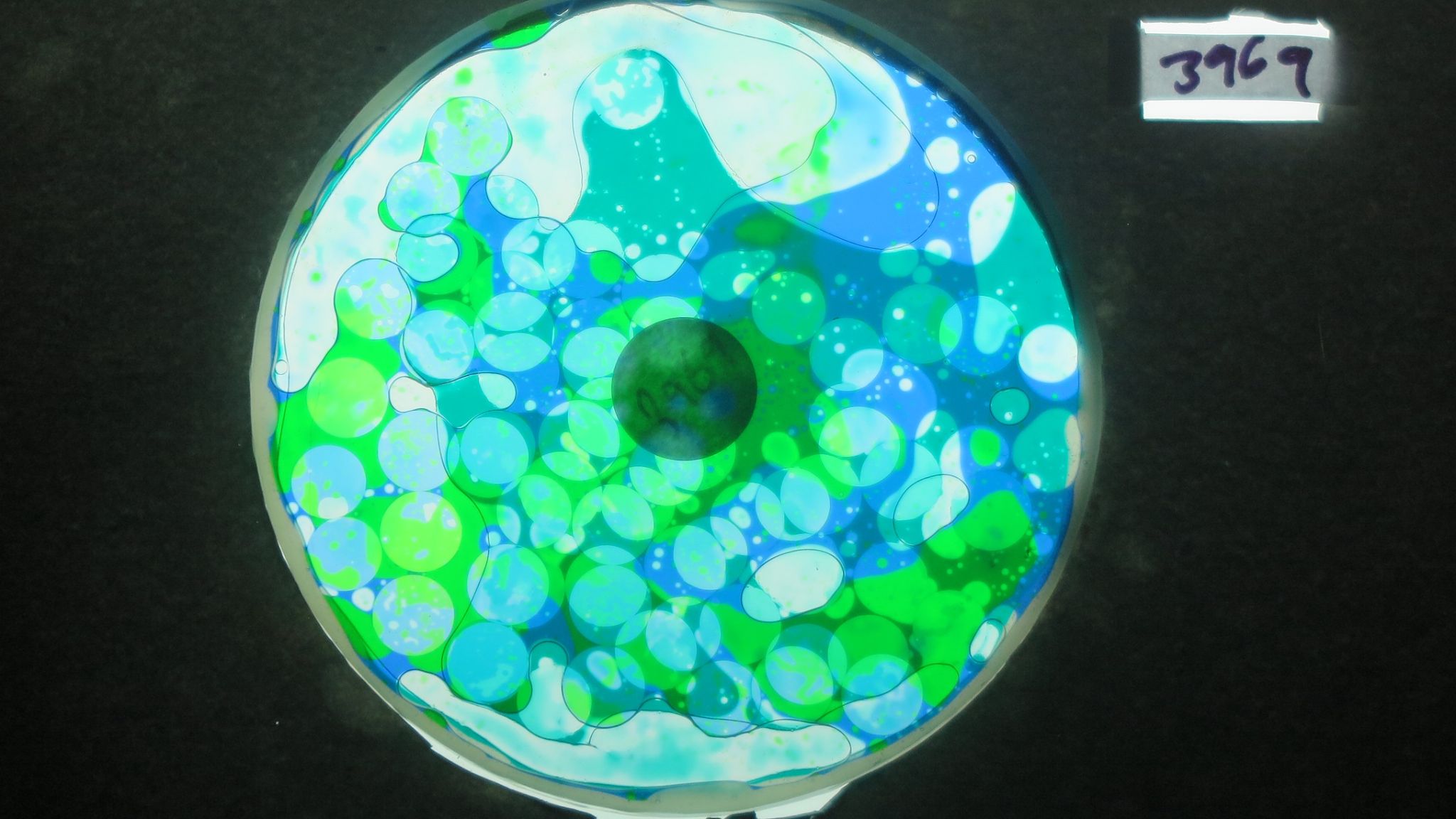 BV3969 bubble vision oil wheel